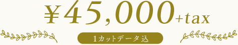 ￥45,000+tax(1カットデータ込)